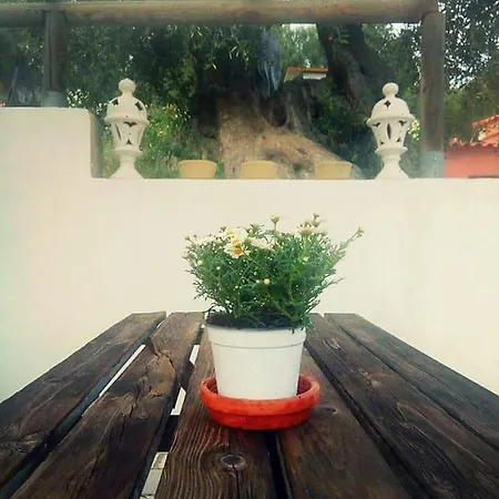 Borgo Degli Ulivi Bed and Breakfast Βιέστε