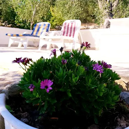 Borgo Degli Ulivi Bed and Breakfast