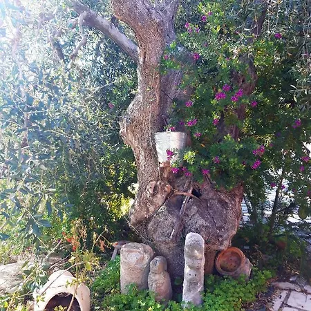 Bed and Breakfast Borgo Degli Ulivi Βιέστε