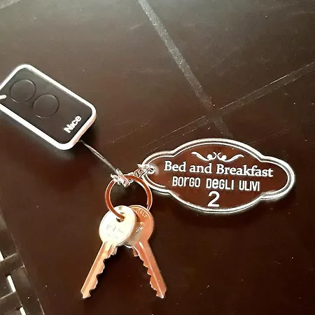Borgo Degli Ulivi Bed and Breakfast