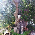 住宿加早餐酒店 Borgo Degli Ulivi 维耶斯泰